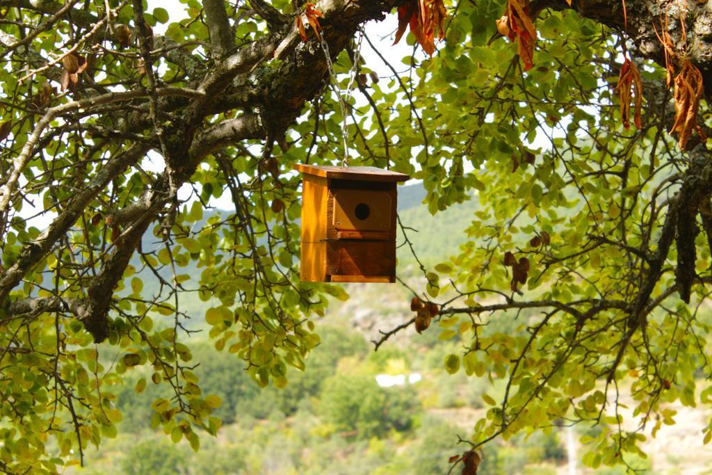 Albergue Turistico Via De La Plata Banos De Montemayor Eksteriør billede